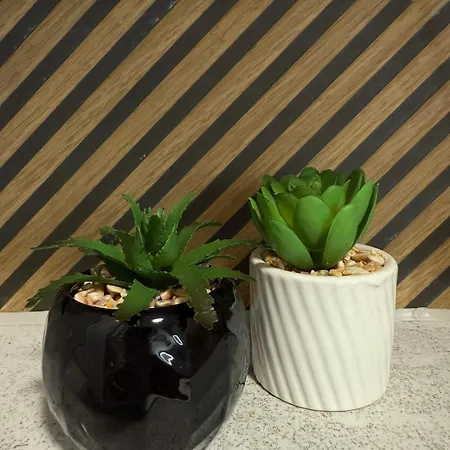 Apartment W Gorach Ze Szczyrk